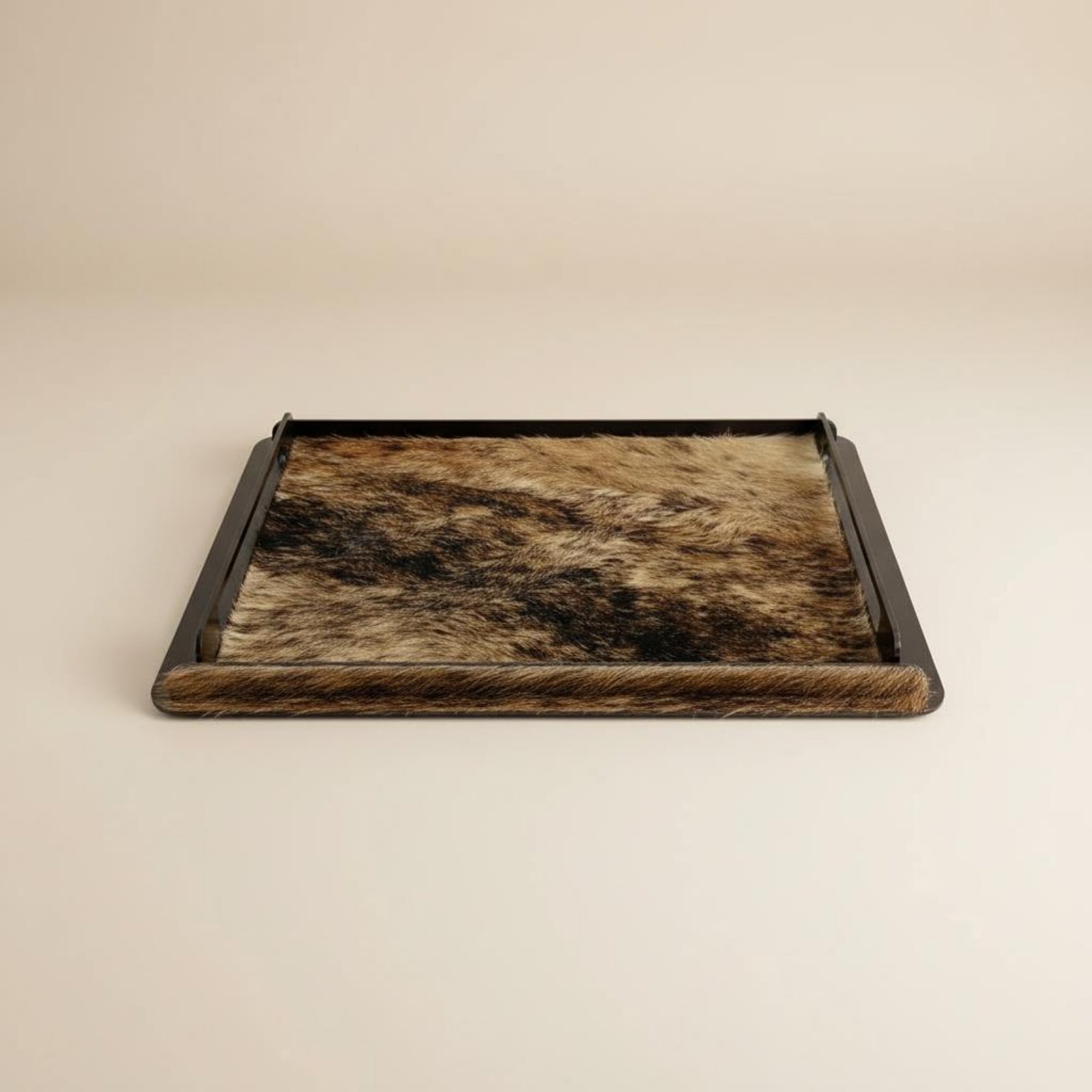 馬毛装飾トレイ クリエイティブデコレーション メタルフレーム - Home Decor Frames のレビューと価格