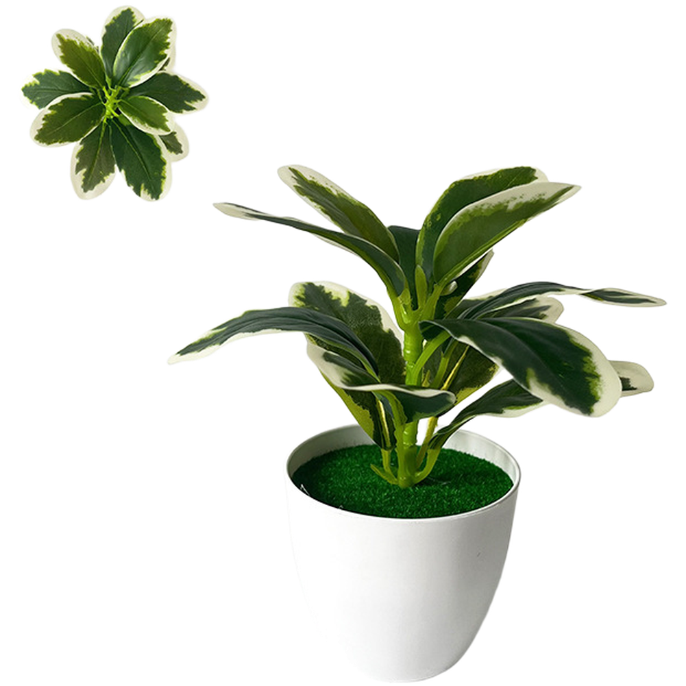 人工観葉植物、住宅やビジネス施設の卓上棚や机に置くためのデザ - Home Decor Location のレビューと価格